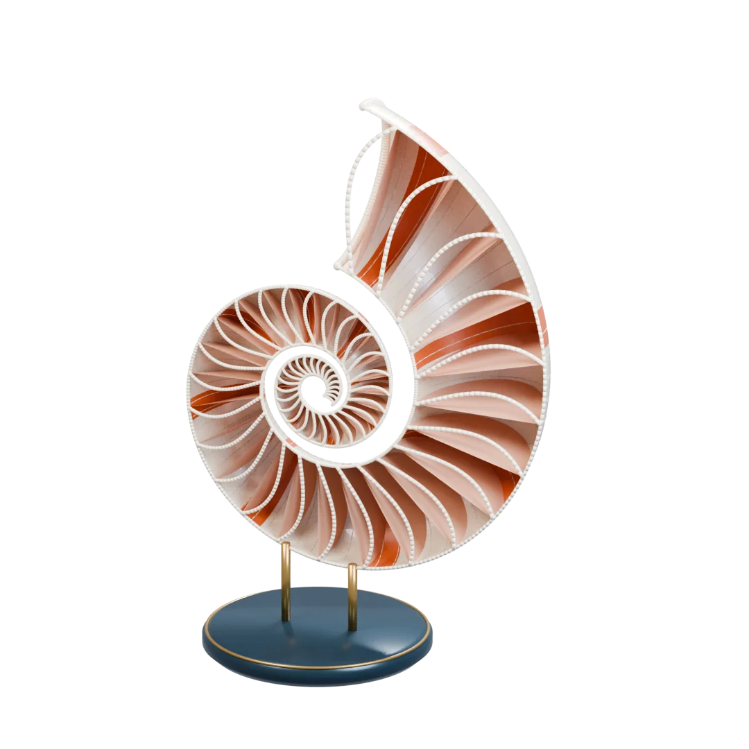 NACRE · sectioned nautilus